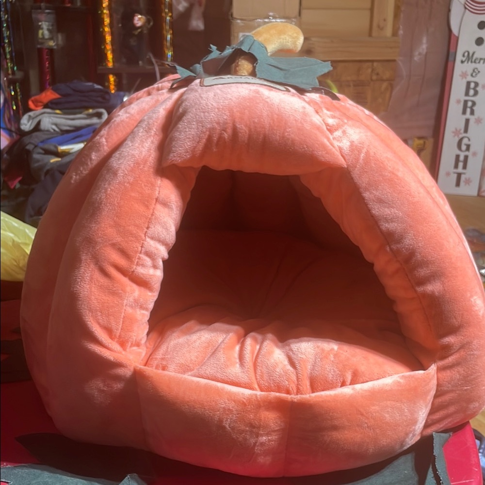 Cozy Pumpkin Pet Bed - Orange